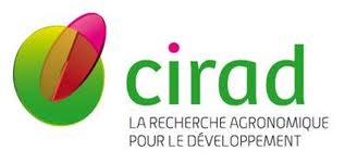 imagesCACUV6S1_cirad